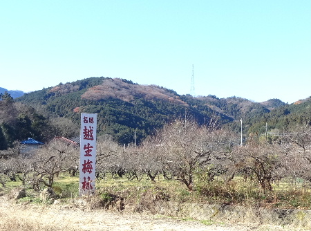 e0172950_20322254.jpg