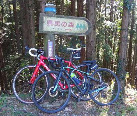 e0172950_2033057.jpg