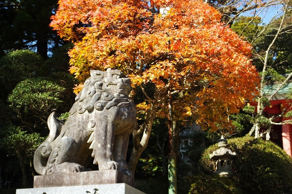 香取神宮の紅葉と鹿 ぶらり散歩 四季折々フォト日記 香取神宮の紅葉と鹿 ぶらり散歩 四季折々フォト日記
