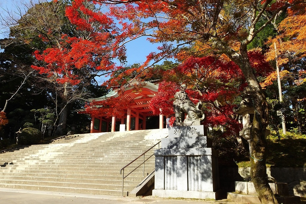 香取神宮の紅葉と鹿 ぶらり散歩 四季折々フォト日記 香取神宮の紅葉と鹿 ぶらり散歩 四季折々フォト日記