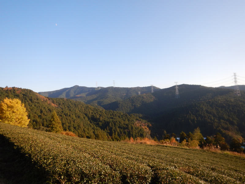 b0141264_17543220.jpg