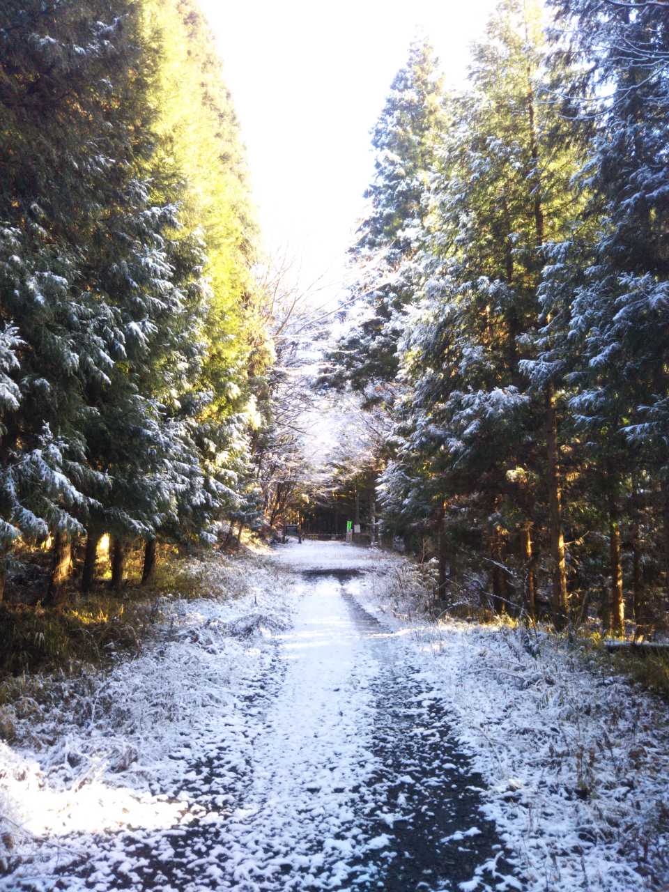 f0208665_1735431.jpg