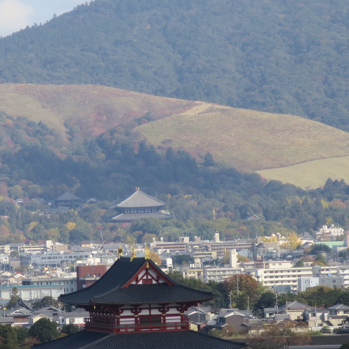 見えるかなチャレンジでお茶を濁します_c0001670_21202727.jpg