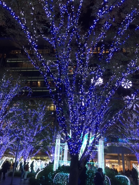 師走 忙しかね♪_a0077071_15455644.jpg