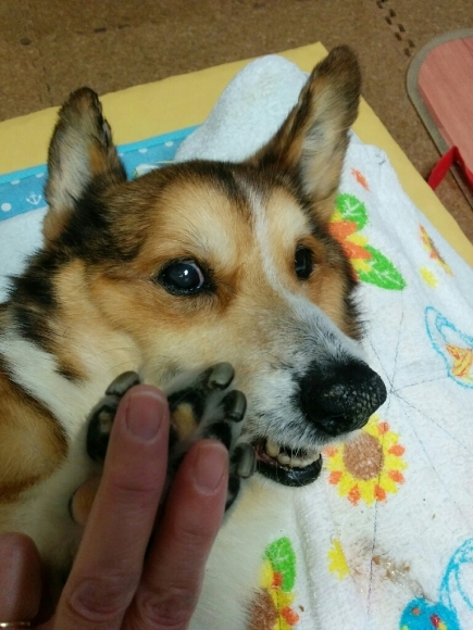 f0136675_10113083.jpg