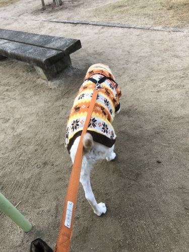 f0315081_17181560.jpeg