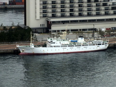 b0192588_929887.jpg