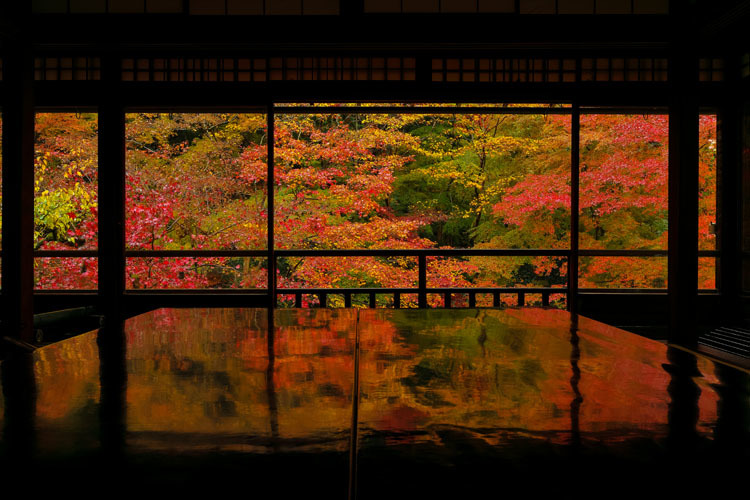 瑠璃光院_e0051888_04011404.jpg