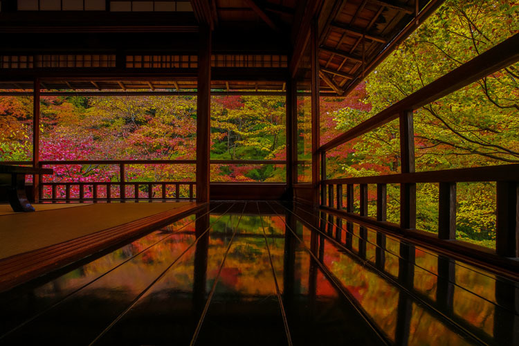 瑠璃光院_e0051888_04011487.jpg