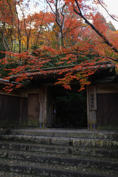瑠璃光院_e0051888_04011529.jpg