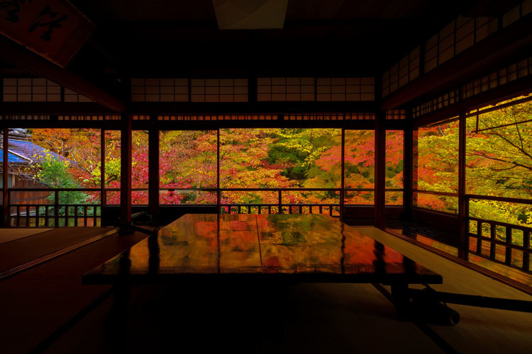 瑠璃光院_e0051888_04024135.jpg