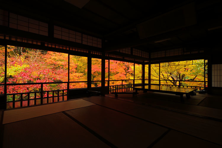 瑠璃光院_e0051888_04024191.jpg