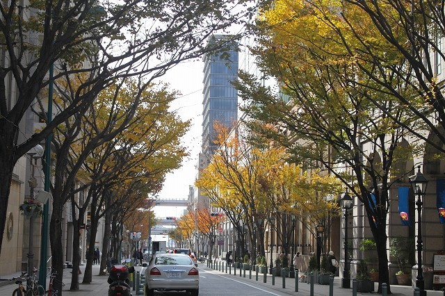 f0374092_11512663.jpg