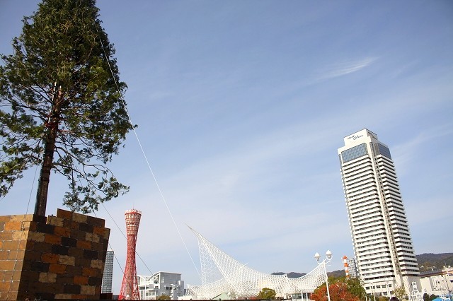 f0374092_12294520.jpg