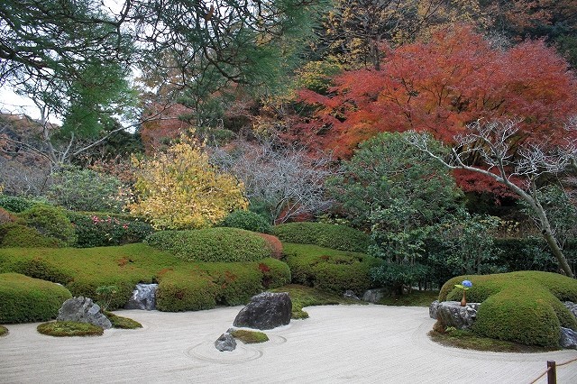 続・北鎌倉の紅葉_f0374092_17471809.jpg