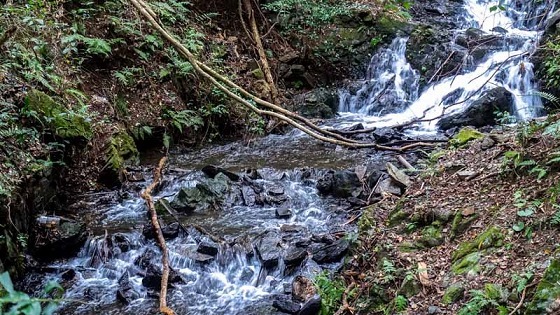 e0176993_07505978.jpg