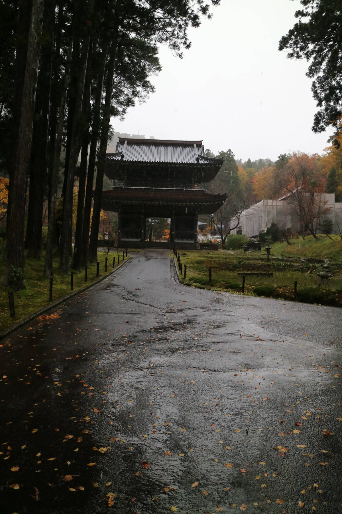 f0075595_03011119.jpg