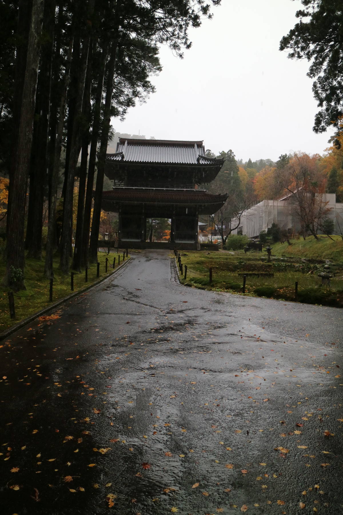 新潟への旅　その３　上越・春日山の続き_f0075595_03011119.jpg