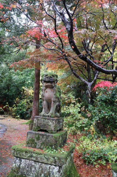 新潟への旅　その３　上越・春日山の続き_f0075595_03125258.jpg