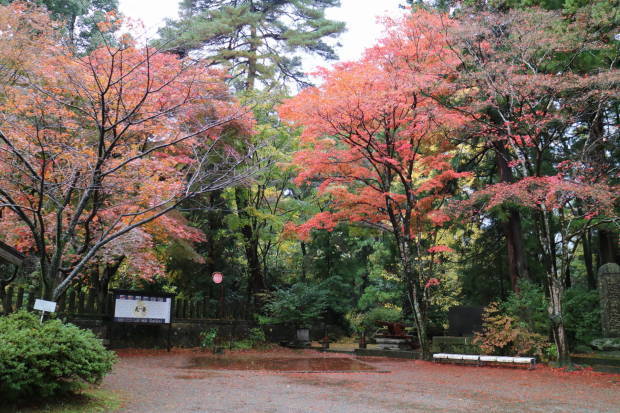 新潟への旅　その３　上越・春日山の続き_f0075595_03132913.jpg