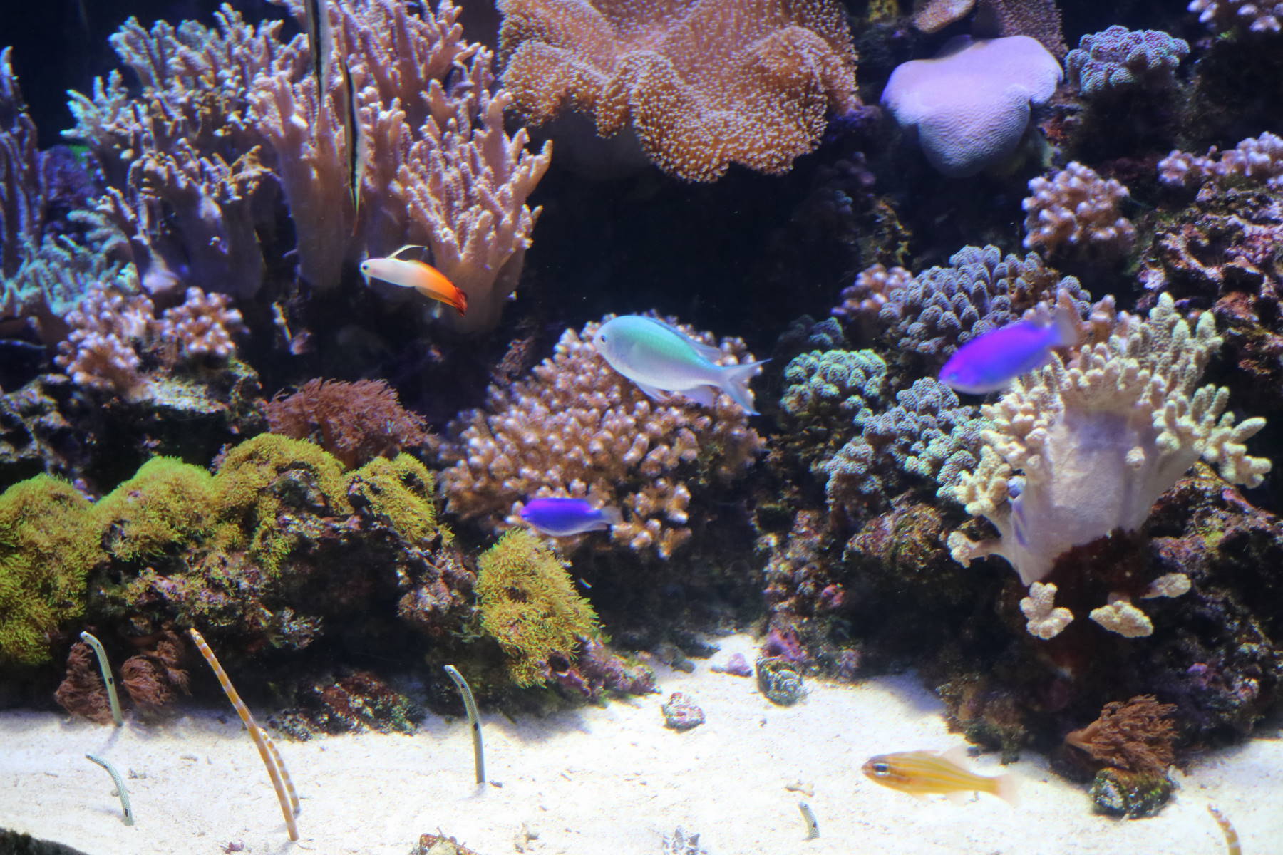 f0075595_14582141.jpg