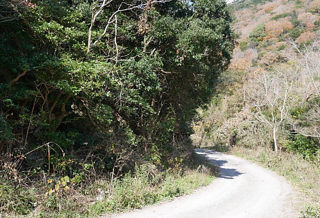a0339396_21523305.jpg
