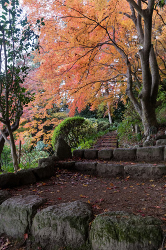 九品寺の紅葉 - katsuのヘタッピ風景