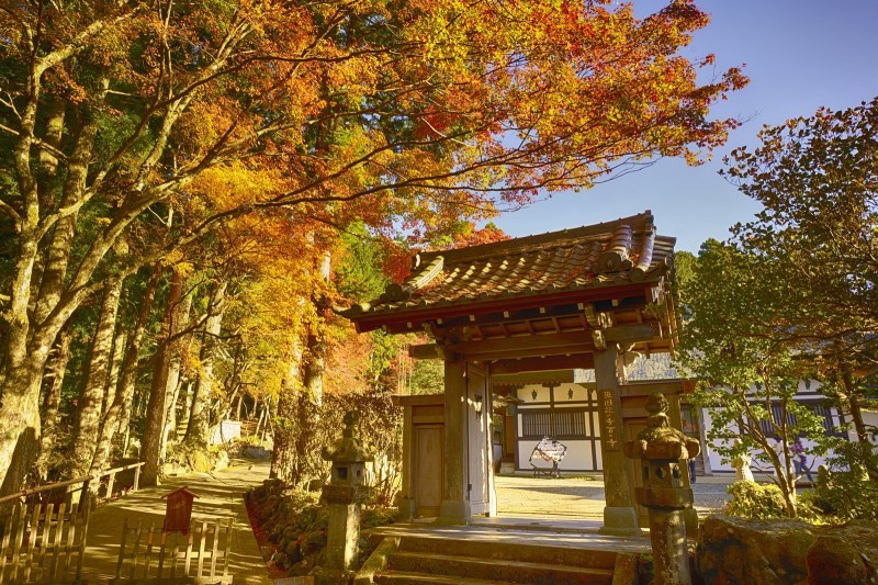 箱根長安寺の紅葉_b0145398_23424862.jpg