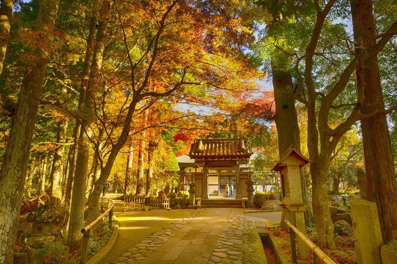 箱根長安寺の紅葉_b0145398_23430286.jpg