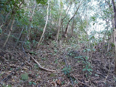 f0308898_17390717.jpg