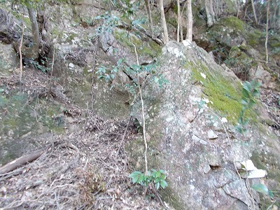 f0308898_17555318.jpg