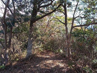 f0308898_19192645.jpg