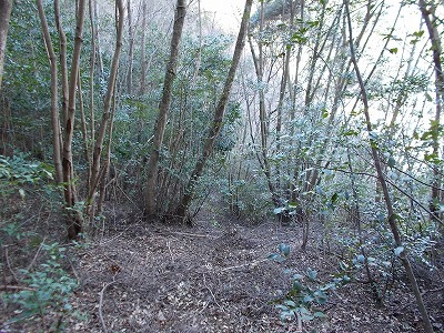 f0308898_19275764.jpg