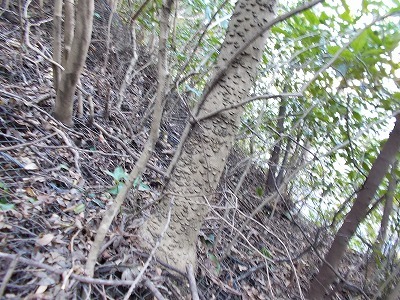 f0308898_19310823.jpg