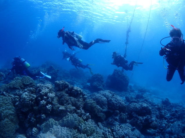 e0115199_15444053.jpg