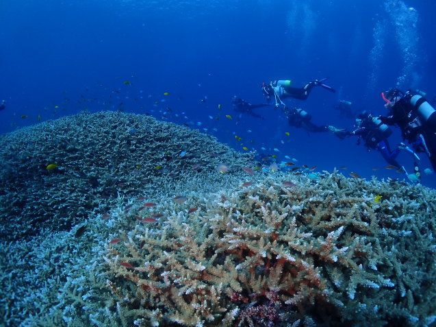 e0115199_15454728.jpg