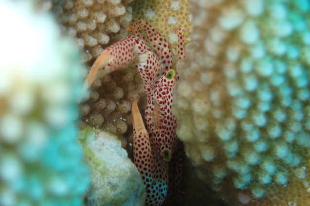 e0115199_15570027.jpg