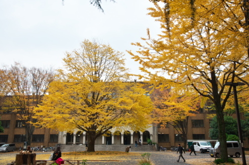 a0263109_14472650.jpg