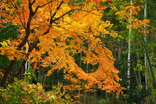 a0263109_21273778.jpg