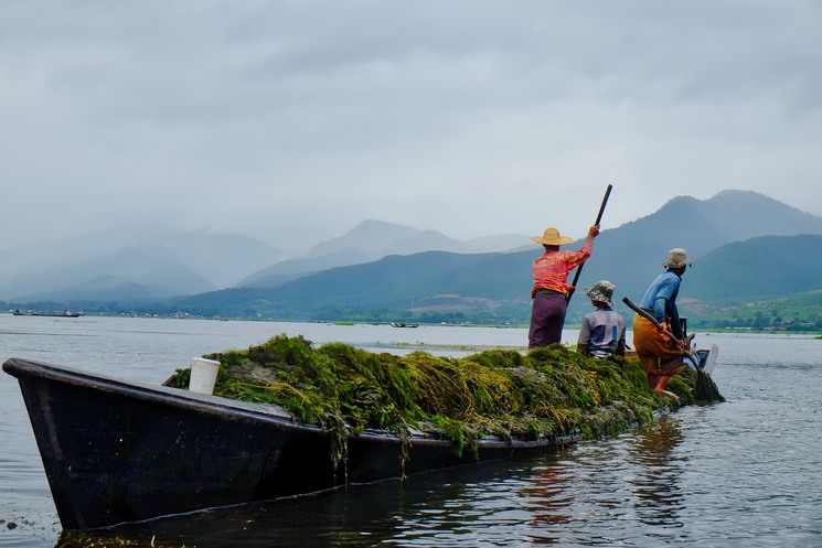 雨中のインレー湖ボートトリップ♪ - Exploring Inle Lake in a Rainy Day_b0108109_1325856.jpg