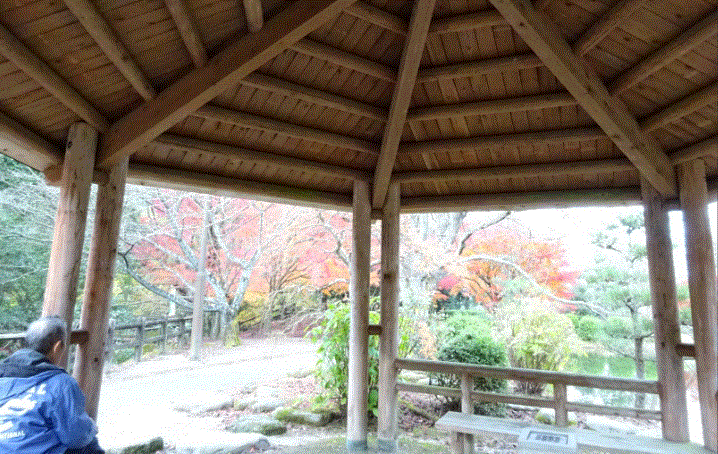 f0231709_23195134.gif