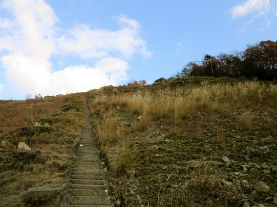 a0164011_21403765.jpg