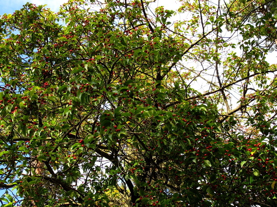 a0164011_21484640.jpg
