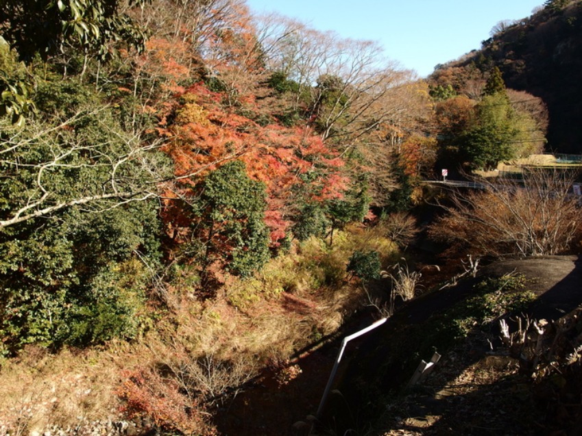 c0022113_15582499.jpg