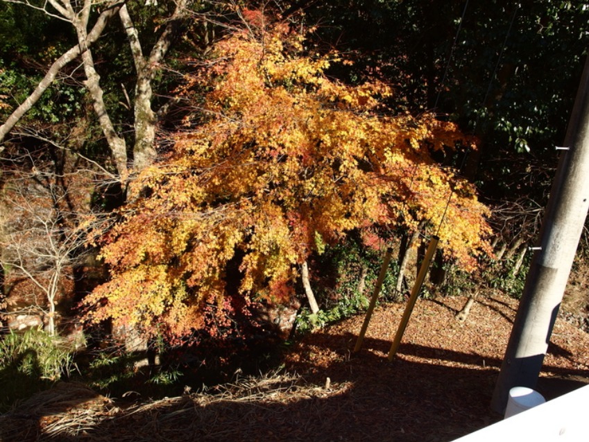 c0022113_15592524.jpg