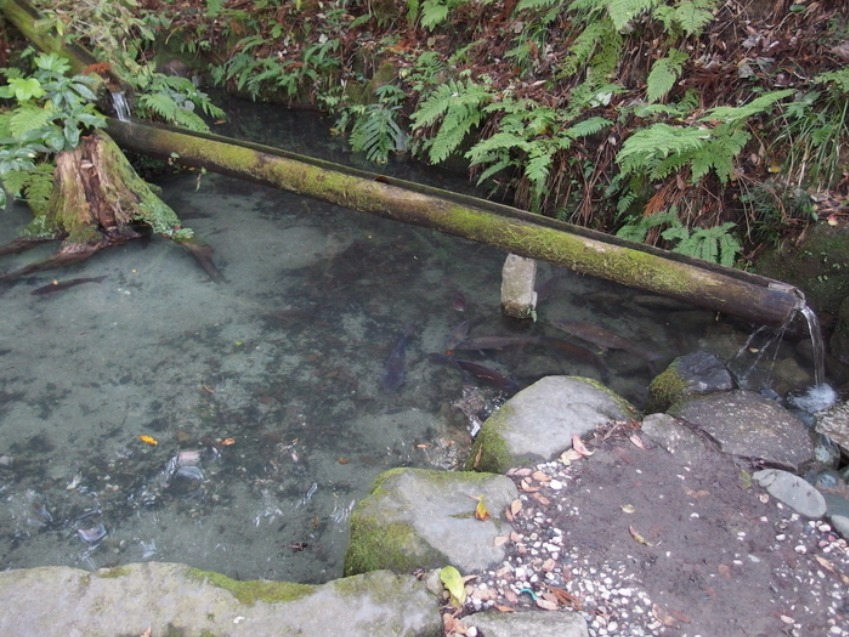 c0022113_1652180.jpg