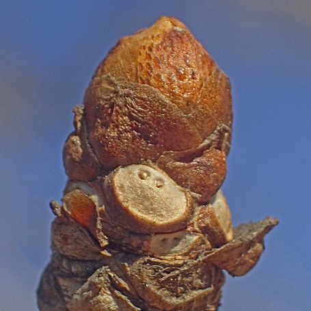 c0190915_19355993.jpg