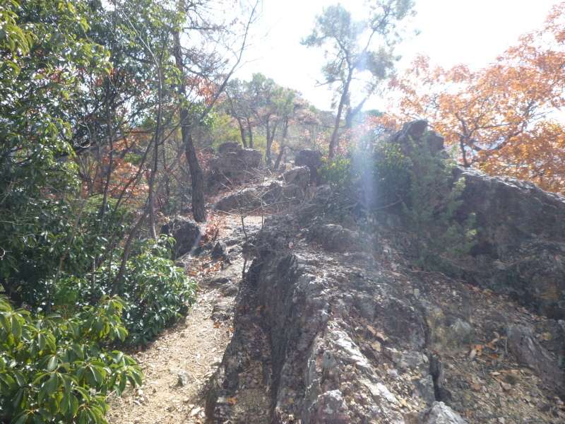 八木山・愛宕山　登頂、下山編_d0170615_18285305.jpg