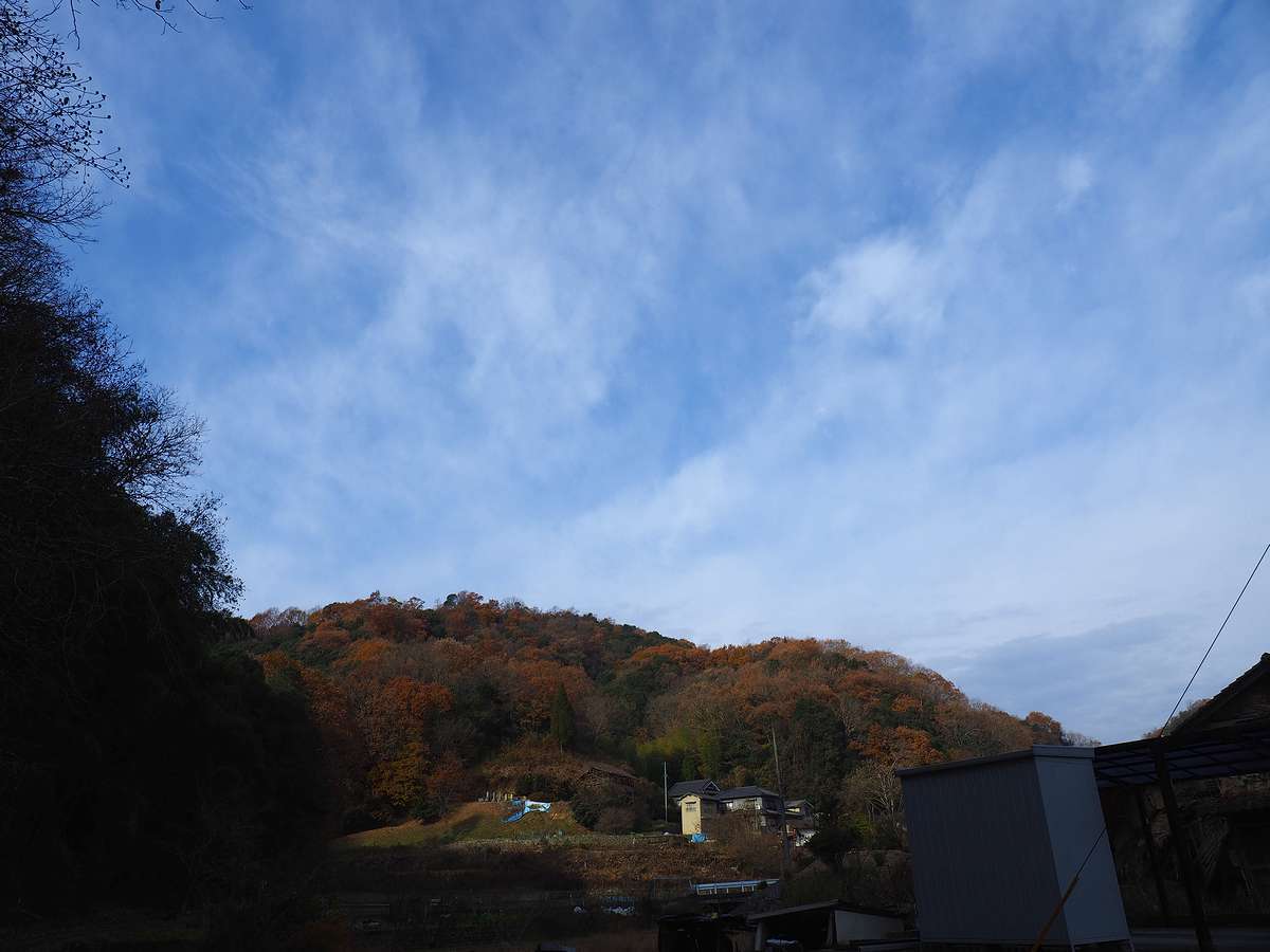 2017年12月10日・・・天気は下り坂、午後雨_f0070823_15385630.jpg