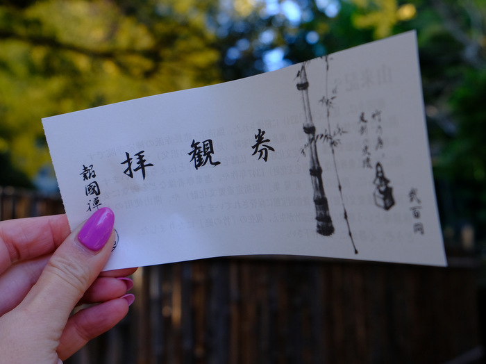 「鎌倉　報国寺　竹の庭を散策しました」_a0000029_17034113.jpg